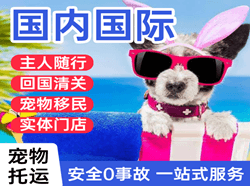拉萨贡嘎机场物流国际宠物托运 【国